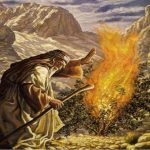 Путь Торы и путь Йоги