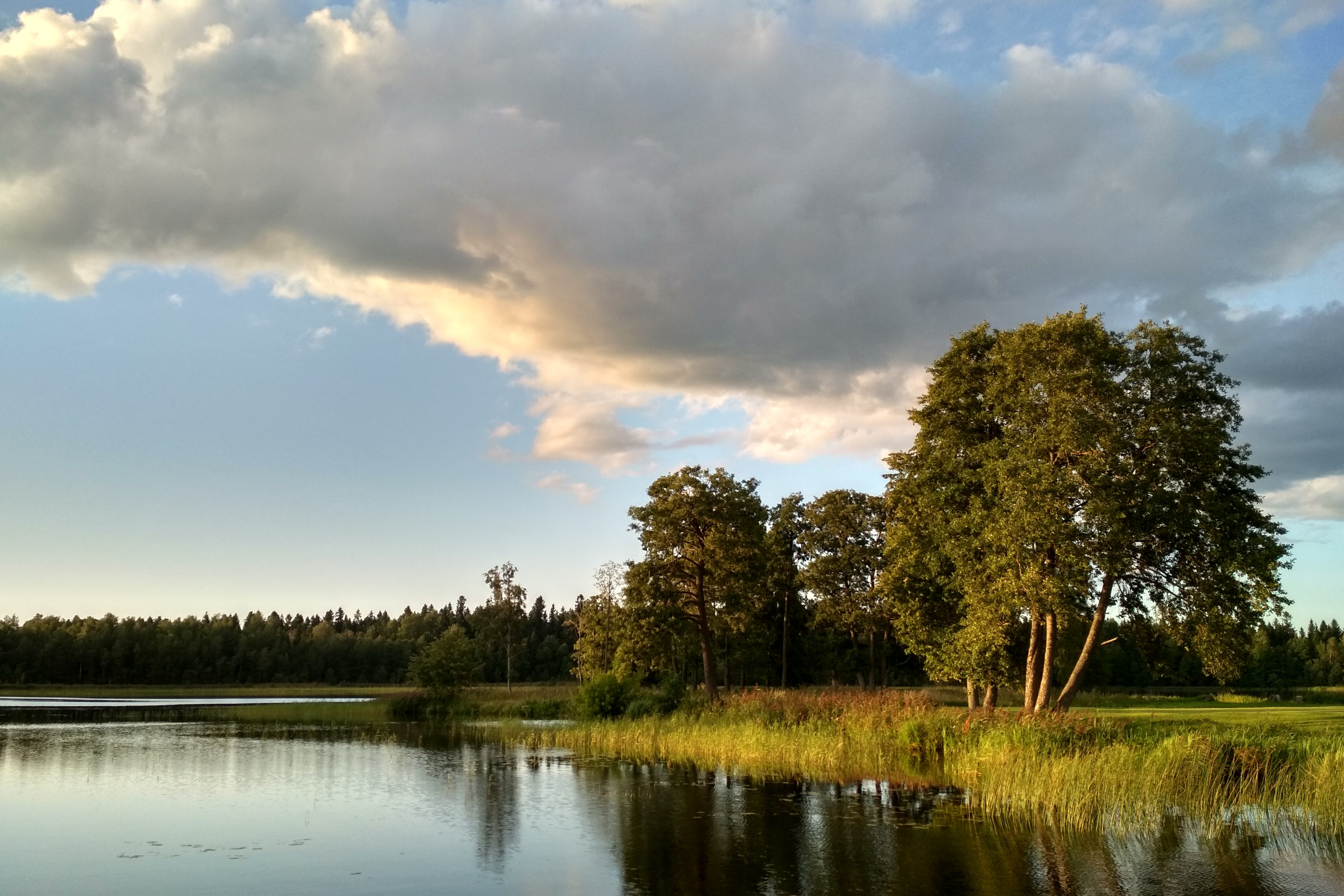2019-08-16 19-38-19