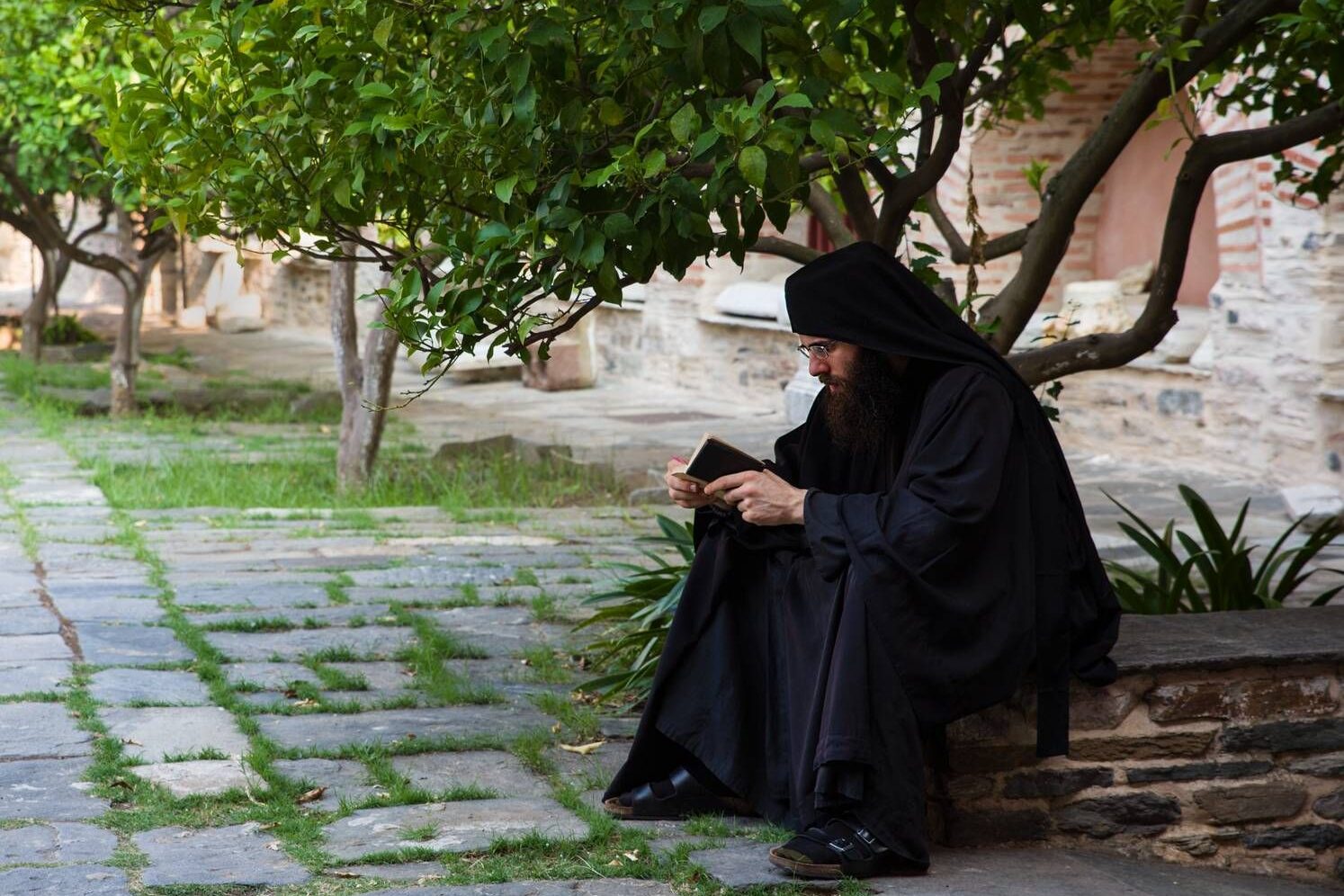 монах монах читает под деревом