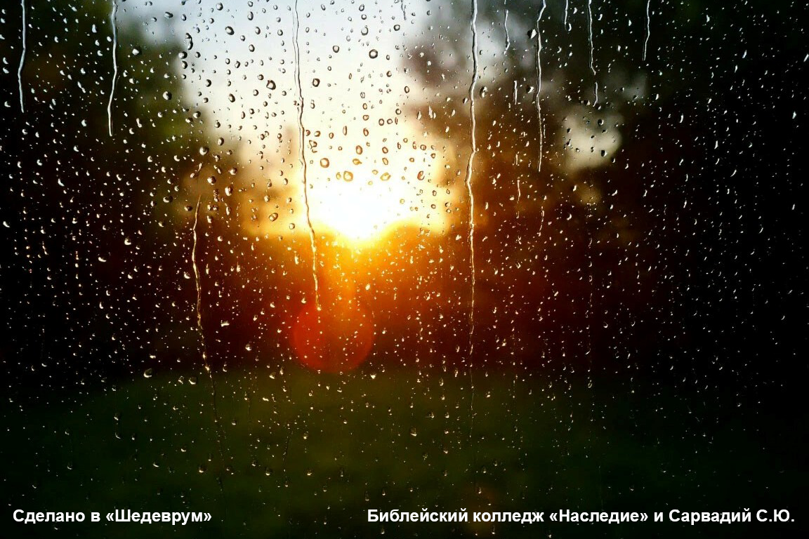 уединение дождь на стекле рассвет